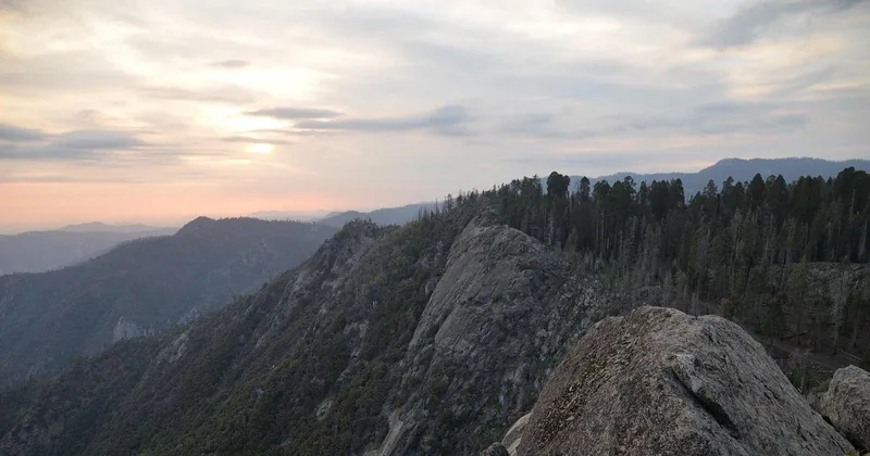 Sequoia and Kings Canyon Private Day Tour from LA