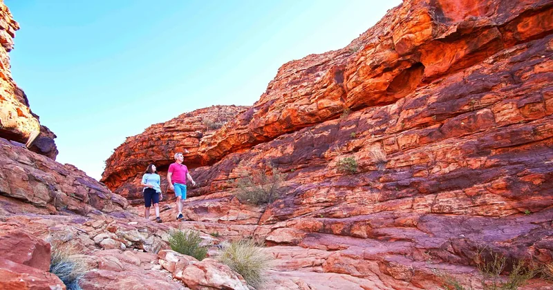 Kings Canyon Day Tour from Ayers Rock Resort