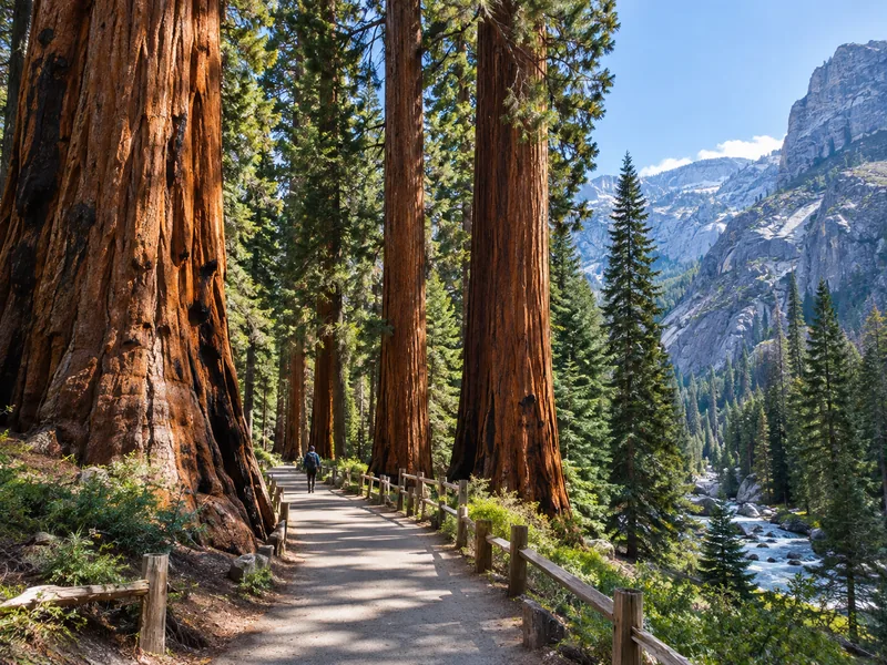 General Sherman Tree and Congress Trail Walk