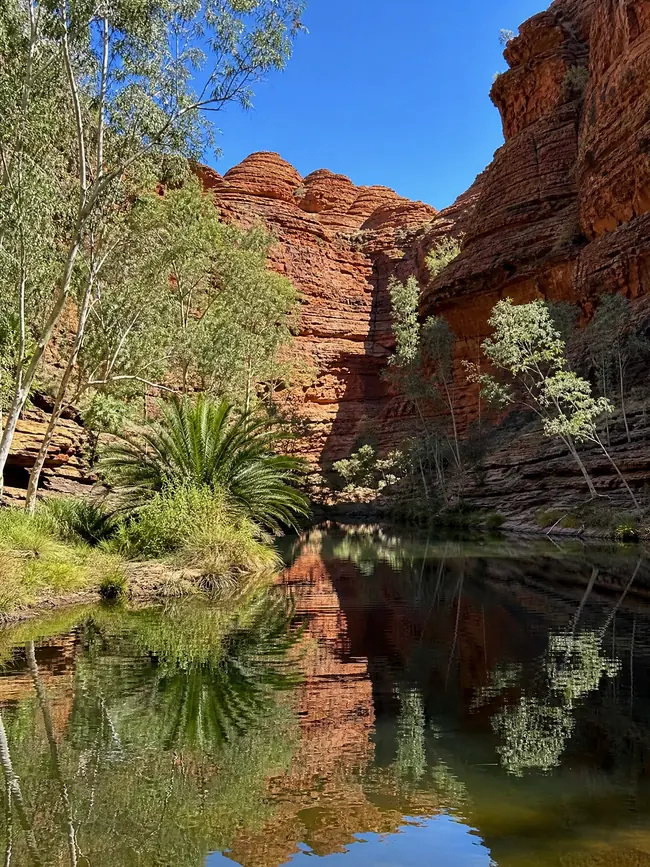 A still rockhole under red sandstone cliffs with green trees around it